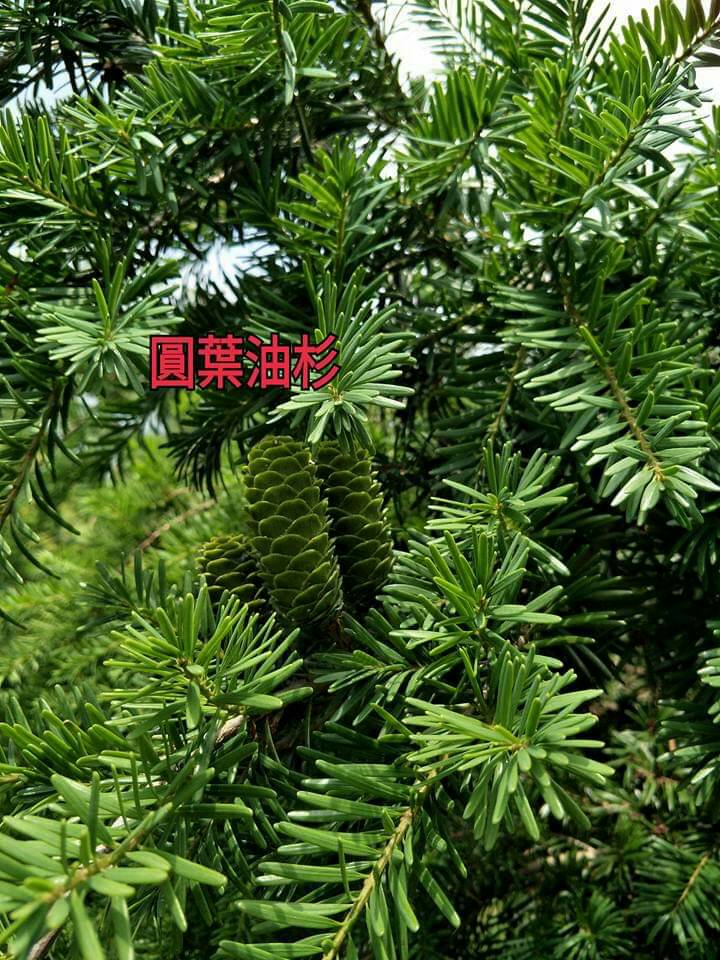 fc934dac47cc0f6cd669231befa17d46.jpg